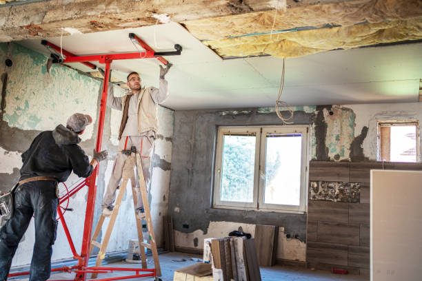 Best Eco-Friendly Insulation in Plymouth, PA