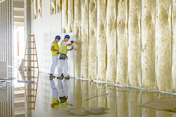 Best Insulation Maintenance and Repair in Plymouth, PA